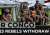 M23 rebels declare ceasefire in DRC