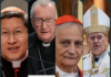 Which individuals are most likely to succeed Pope Francis?