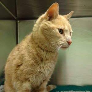 Warbixin:- Xasaasi ah Bisada Hargeysa Ku Nool Ayaa Ka Nasiib Dadan Qofka Muqdisho Ku Nool .Sababta