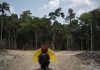 Brazil says Amazon deforestation is worst since 2008