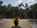 Brazil says Amazon deforestation is worst since 2008