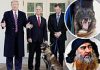 Donald Trump honors Conan the hero dog that helped corner al-Baghdadi with Rose Garden ceremony