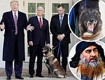 Donald Trump honors Conan the hero dog that helped corner al-Baghdadi with Rose Garden ceremony