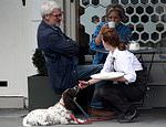 Jeremy Paxman shows his softer side as he reveals his rescue spaniel Derek is his ‘reason to live’