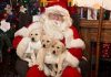 Santa Clause! Father Christmases at major stores including Hamleys are slapped with lists of rules