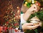 Expert reveals how to decorate Christmas tree and what you need to avoid so it doesn’t look tacky