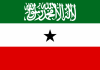 Madaxwayne kuxigeenka Somaliland iyo saraakiil ciidan oo Laga Helay COVID-19
