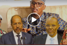 DAAWO: “Xildhibaan Jeesoow 2 hadii ay iga dilaan 2 ayaa ka dilaa ma xad-gudbaayi xitaa“