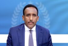 DFS oo baareysa in Aidarus Al-Zubaidi la soo mariyey Muqdisho