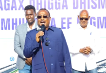 DAAWO:“Muungaab maanta kadib ma aqbali dooni in dukumintiyo been abuur ah layla yimaado“