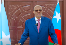 DAAWO Laftagareen oo ku dhawaaqay inuu sharci daro yahay Dastuurka cusub