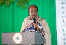 DAAWO: Madaxweyne Xasan Sheekh “Dalkeena waa inuu yeesho axsaab kooban oo tayo leh”