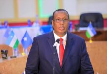 DAAWO: “Nin Xamar ka yimid shir kuma qaban karo Puntland”.