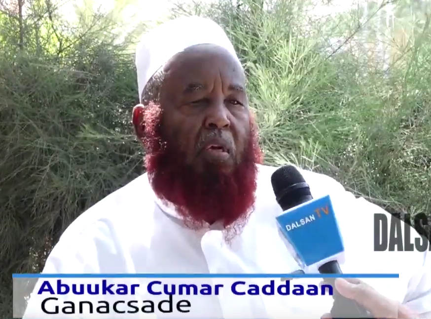 Abuukar Caddaan “Waxaa ii muuqata in Soomaaliya ay qiiro beeshay”+VIDEO