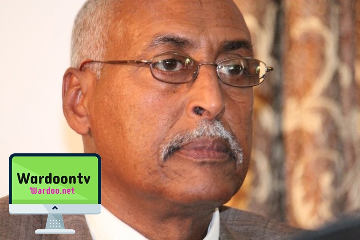 Madaxweyne ku xigeenkii hore ee Puntland oo Safiir loo Magacaabay