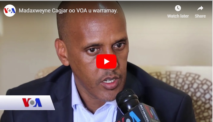 DAAWO:- Mustafe Cagjar oo diiday shir beelaha DIR uga socday Adis ababa