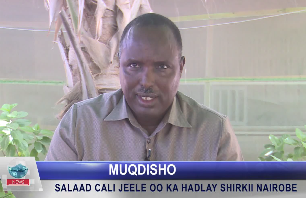 “Duminta Waxaa Kow Ka Ah In Dalka Dibaddiisa Lagu Shiro Oo Siyaasad Looga Hadlo”+VIDEO