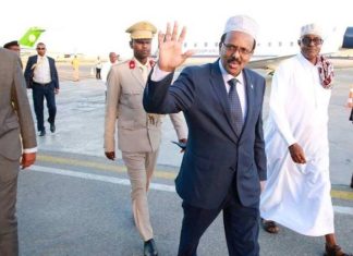 Farmaajo & wafdi uu horkacayo oo u ambabaxay Koonfur Afrika