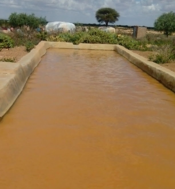 Sadex caruur oo walaalo ah oo berkad kudhacay kuna dhintay