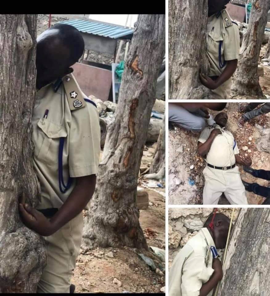 DAAWO:-Xaaska Gaashanle Dhexe Cabdi Cali Seed oo sheegtay in ninkeeda ladilay