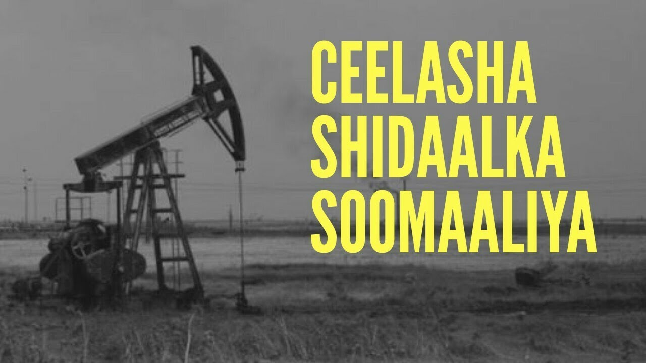 Itoobiya oo sheegtay saamiga ay ku yeelaneyso Shiidaalka laga helo dowlad deegaanka