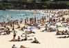 Bondi Beach is evacuated after massive great white shark is spotted