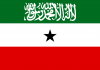 Somaliland oo guul kasheegatay dagaalkii ayaga iyo Puntland dhexmaray