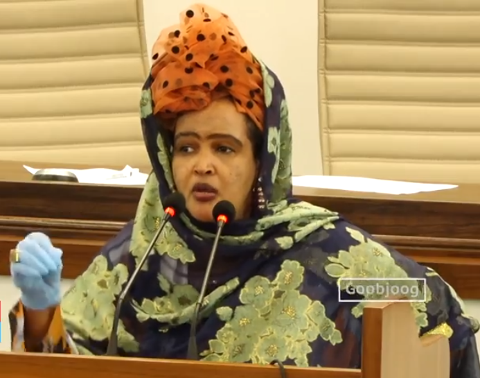 Daawo:-Xildhibaan Sareedo ''Digil iyo Mirifle Gobolka Banaadir iyagaa ...