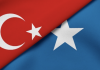 Turkiga oo kahadlay xaaladda Somalia