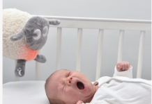 Sweet Dreamers, Ewan Deluxe with Shush, Grey | Baby & Toddler Sleep Aid Gift | Cry Activated Sensor & Nightlight | 5 Soothing White & Pink Noise Sounds | Auto-Off Timer | Machine Washable & Portable ewan Deluxe