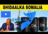 Maxaa kajira in Turkigu qaadadanyo 100%90 faidada Shidaalka somaliya