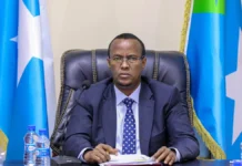 Hirshabeelle oo deegaanadeeda ka mamnuucday diyaarado hub iyo ciidan sida