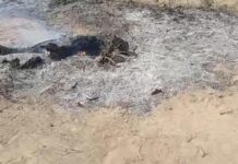 Rag loo soo xiray dilkii iyo gubistii nin dhimirka la’ ee ka dhacay Wanlaweyn