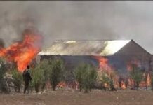 Hooyo & afar caruurteeda ah oo nolosha lagu gubay