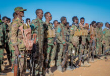 DAAWO: Dowladda Faderaalka oo la wareegtay ciidamo ka tirsanaa Puntland