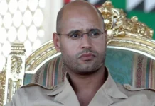 Wiilkii Qadaafi oo la dilay