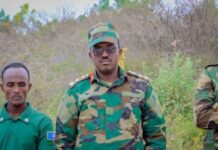 Saraakiisha Koofur Galbeed oo uhoggaansamay amarka Dowlada