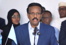 DAAWO: Farmaajo “Madaxweynow hada Libaax baa tahay hadhow Bisad ha noqon”