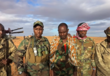 DAAWO Macawiisleyda oo hub kasoo furtay Al-Shabaab soona dilay horjooge Geedi