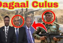 Ciidamada mucaaradka Koonfur Galbeed oo xoog kula wareegay Qansaxdheere.