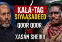 Xiisadda Qoor-Qoor iyo Xasan oo kasii dartay.