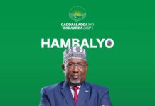 Aadan Madoobe oo loo doortay Madaxweynaha Koonfur Galbeed