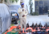Dowladda Soomaaliya xoojisay qorshaha hub ka dhigista Caasimadda.