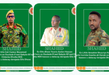 Madaxweyne Xasan oo dalacsiiyay Saraakiil ku Shahiiday Dagaalka +SAWIRRRO