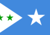 Maxkamada Sare oo ansixisay doorashadii ku celiska aheyd ee Galmudug